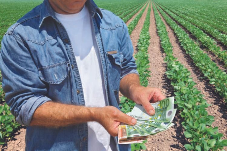 Microcredito agricolo: un’opportunità per i giovani agricoltori